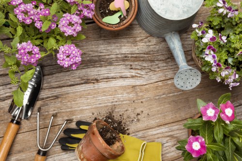 Local gardeners caring for a vibrant Bellingham garden landscape