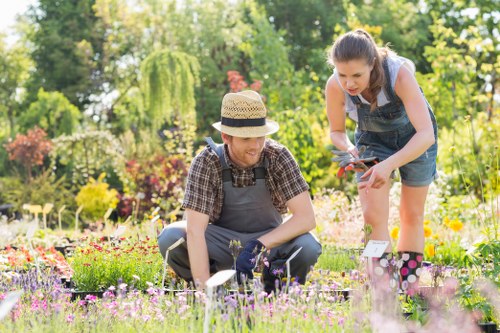 Gardeners Bellingham pricing explained for a small front garden job