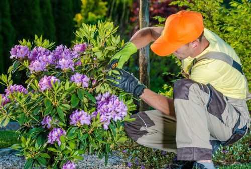 Transparent pricing for Gardeners Bellingham with example jobs