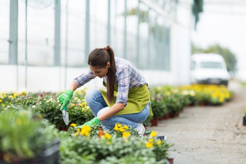 Layered Pacific Northwest planting beds for landscape gardening in Bellingham