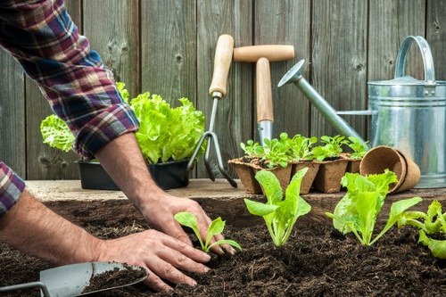 Gardening tools and service agreement for a UK garden maintenance booking