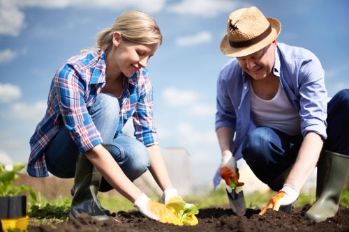 Garden maintenance Bellingham with insurance and safety standards