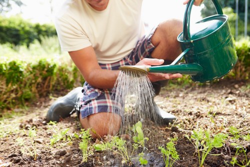 Seasonal garden care in Bellingham with vibrant plants and tidy beds