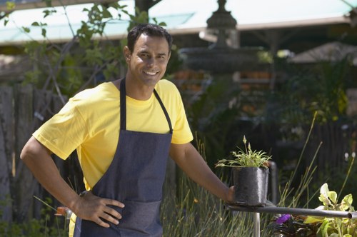 Irrigation and watering practices for lawn care in Bellingham
