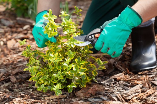 Supervising safe gardening work with clear site precautions in place