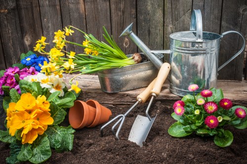 Detailed landscape maintenance and planting support in Bellingham