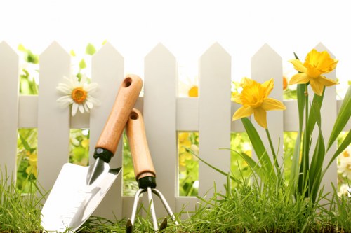 Aeration, overseeding, and lawn repair for Bellingham yards