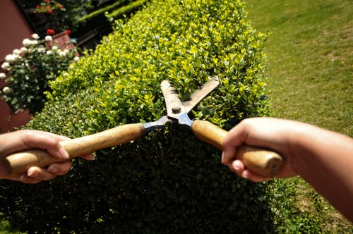 Wood and vinyl fence materials for Bellingham properties