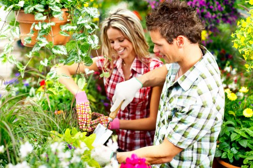 Professional lawn mowing in Bellingham during a regular maintenance visit