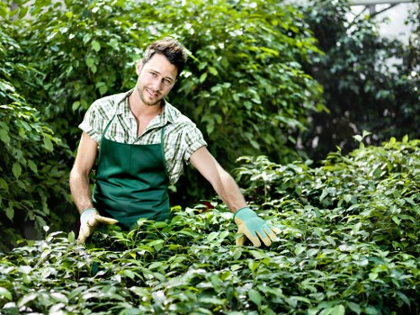 Commercial garden maintenance in Bellingham creating a clean, welcoming exterior