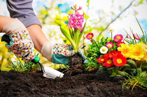 Professional landscaping in Bellingham with lawn, shrubs, and walkways