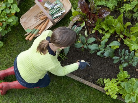 Low-carbon van used for sustainable garden service