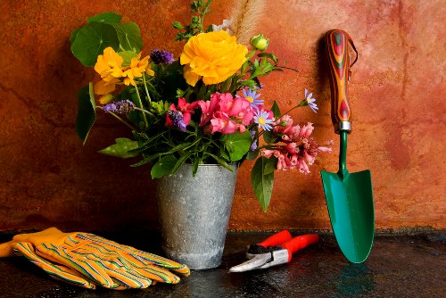 Free quote policy for garden maintenance and clearance in Bellingham