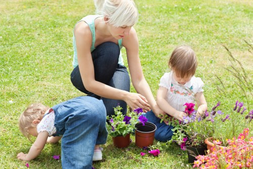 Seasonal hedge maintenance for Bellingham homes and businesses