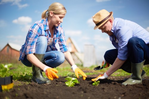Keyboard-navigable website content for Bellingham gardeners