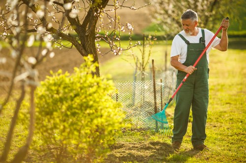 Pruning and trimming during garden maintenance in Bellingham