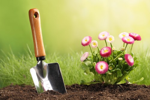 Bellingham lawn soil and turf maintenance in a moist climate