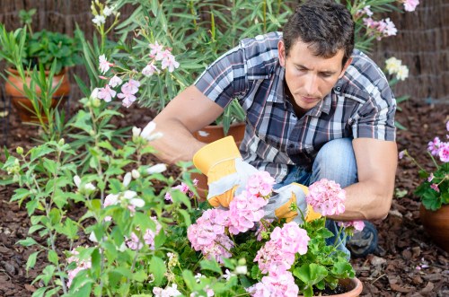 Supplier risk and compliance review for Gardeners Bellingham