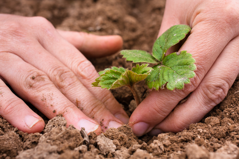 garden design irrigation system