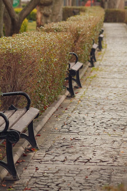 Bellingham garden maintenance for shops offices and estates
