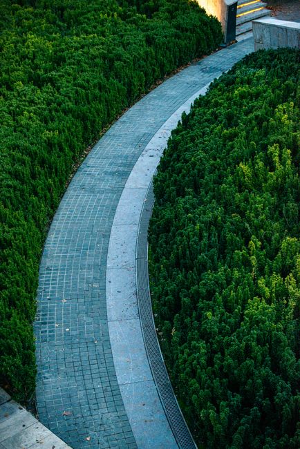 A paved garden pathway made of irregularly shaped cobblestones runs alongside a neatly trimmed hedge with dense, green foliage. Several wooden benches with black metal armrests and supports are positi